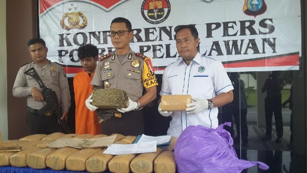 Polres Pelalawan ekspos penangkapan 30 Kg ganja kering di Pelalawan/elpi Polres Pelalawan ekspos penangkapan 30 Kg ganja kering di Pelalawan/elpi