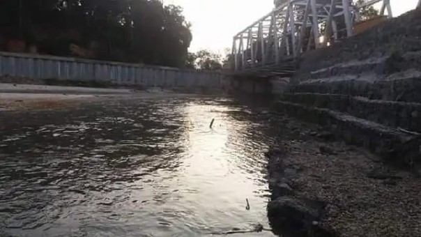 Sungai Bawang Desa Petai Kecamatan Singingi Hilir Kuantan Singingi yang diduga tercemar limbah perusahaan/elpi Sungai Bawang Desa Petai Kecamatan Singingi Hilir Kuantan Singingi yang diduga tercemar limbah perusahaan/elpi