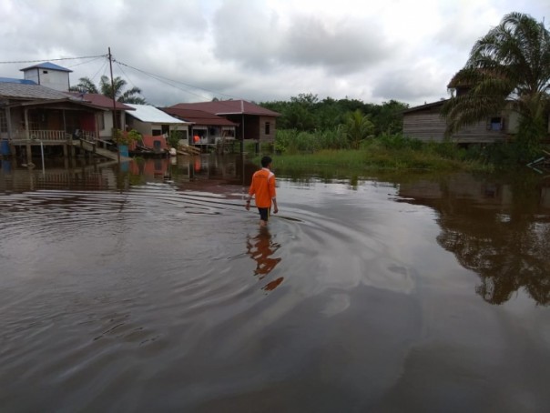 Banjir Pelalalawan/ardi/elpi Banjir Pelalalawan/ardi/elpi