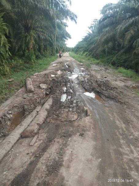 Jalan Poros Simpang Salak, Kelurahan Pergam, Kecamatan Rupat/hari/elpi Jalan Poros Simpang Salak, Kelurahan Pergam, Kecamatan Rupat/hari/elpi