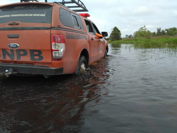 Kondisi banjir di Jalan Koridor RAPP Langgam/ardi/elpi Kondisi banjir di Jalan Koridor RAPP Langgam/ardi/elpi