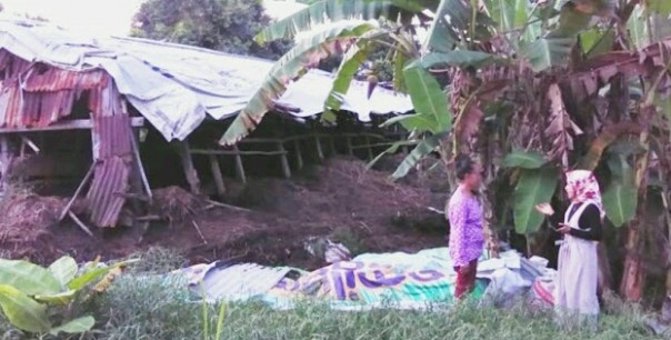 Bude Tungatin saat memberikan pengalamannya saat dikunjungi mahasiswa dilokasi pertanianya (Toni) Bude Tungatin saat memberikan pengalamannya saat dikunjungi mahasiswa dilokasi pertanianya (Toni)