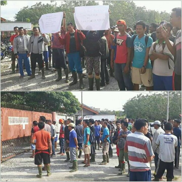 Parakaryawan PT HKL Kecamatan Tambang saat mendesak upah yang wajar (ist) Parakaryawan PT HKL Kecamatan Tambang saat mendesak upah yang wajar (ist)