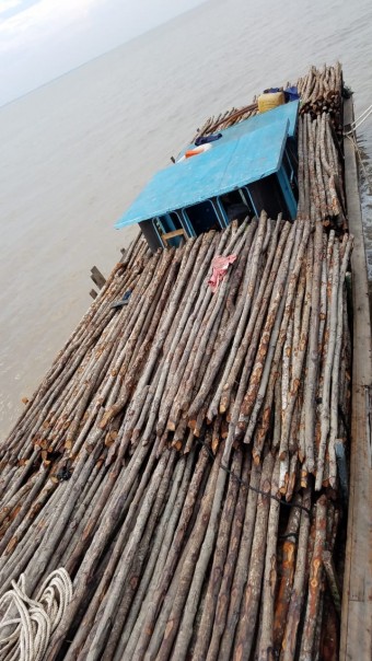 2.750 batang kayu bakau teki dari BKO Kapal Patroli 20004 yang saat ini ditahan BC Bengkalis/hari/elpi 2.750 batang kayu bakau teki dari BKO Kapal Patroli 20004 yang saat ini ditahan BC Bengkalis/hari/elpi