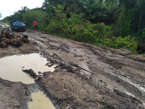 Kondisi jalan di Sungai Ara pasca banjir Pelalawan/ardi/elpi Kondisi jalan di Sungai Ara pasca banjir Pelalawan/ardi/elpi