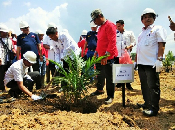 Sekda Kabupaten Rokan Hulu,H.Abdul Haris S.Sos M.Si melakukan penanaman sawit di Kunto Darusalam/alfa/adv Sekda Kabupaten Rokan Hulu,H.Abdul Haris S.Sos M.Si melakukan penanaman sawit di Kunto Darusalam/alfa/adv