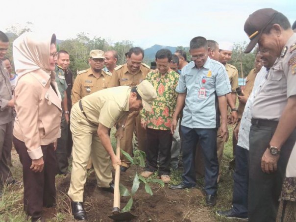 Rini Soemarno meresmikan peremajaan tanaman kelapa sawit plasma /alfa