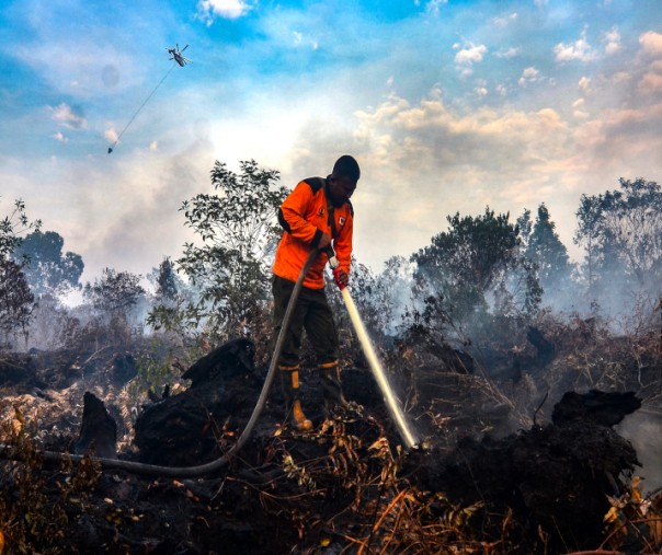 Petugas Manggala Agni tengah melakukan proses pendinginan pada lahan gambut yang terbakar di Dumai, Riau (Foto: Azhar Saputra/Riau1.com) 