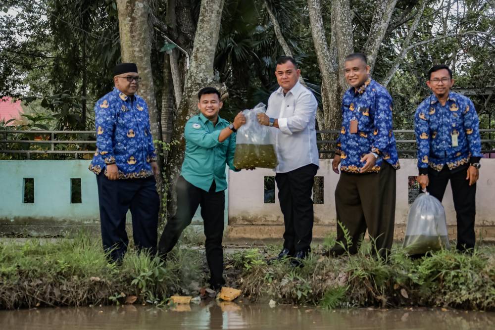 Tabur benih ikan di Kota Dumai