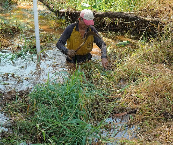 Pekerja dari pasukan kuning saat membersihkan anak sungai di Jalan Angsa Putih pada 21 Desember 2024. Foto: Istimewa.