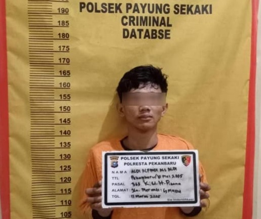 Pelaku pencurian di indekos mahasiswi yang diringkus Polsek Payung Sekaki