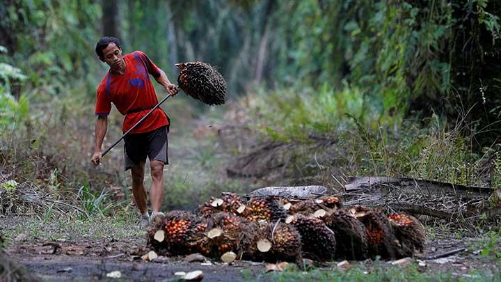 Ilustrasi/Reuters