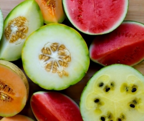 Hati Hati Beli Melon Atau Semangka Kemasan Ini Bahayanya
