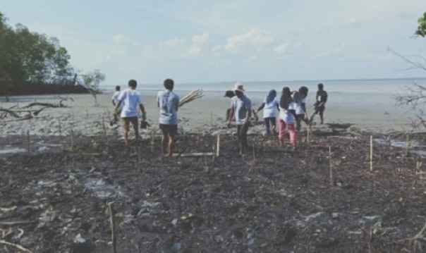 Cegah Abrasi di Pesisir Pantai Kampung Kayu Ara Permai ...