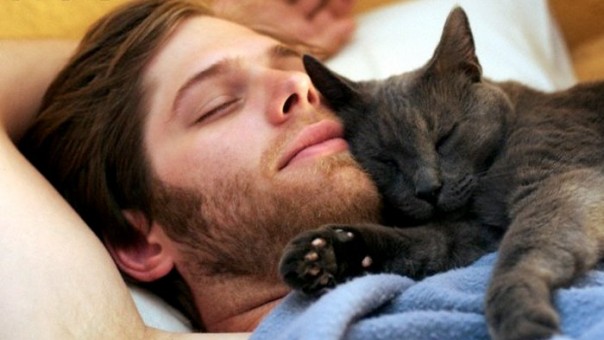 Suka Tidur Dikasur Bareng Kucing? Ini Efeknya  RIAU1.COM