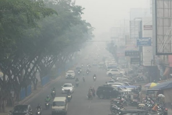 Kabut asap selimuti Riau (foto: dok/riau24group)