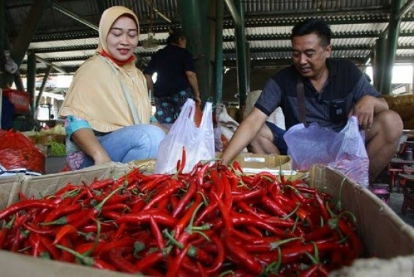 Turun Lagi Harga  Cabe  Merah di Pasar Tangor Pekanbaru 