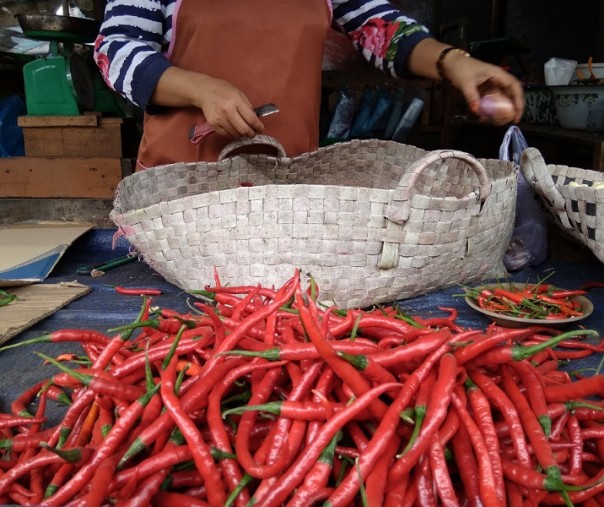 Harga Cabai Merah Bukittinggi Rp60.000 per Kg di Pekanbaru  RIAU1.COM