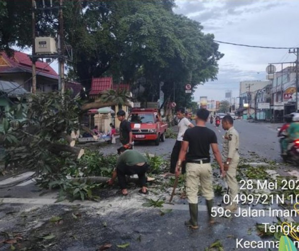 Petugas BPBD Pekanbaru saat memotong bagian pohon yang tumbang di Jalan Imam Munandar (Harapan Raya), Sabtu (28/5/2022). Foto: BPBD. 